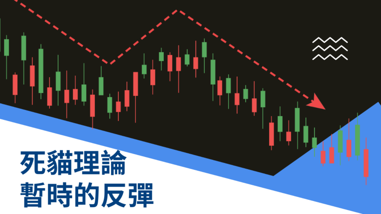 死貓理論 暫時的反彈 (2)
